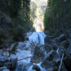 Neuschwanstein  Picture 129.jpg